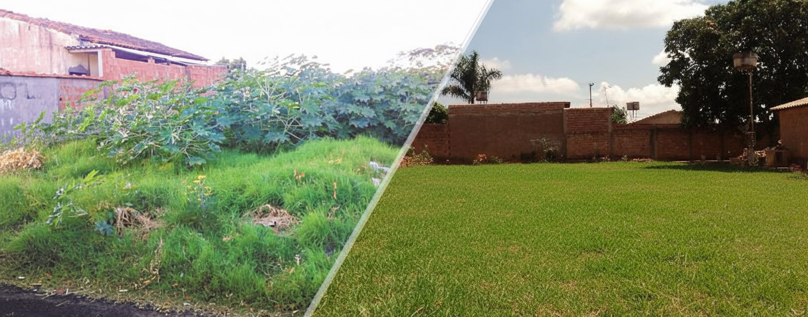 Antes e Depois da Limpeza de Lote em Brasília